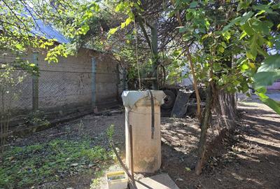 Teren 1300mp cu casa batraneasca - 7