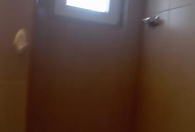 Apartament 2 Camere,Piata Victoriei,Amenajat,mobilat,utilat,complet - 22
