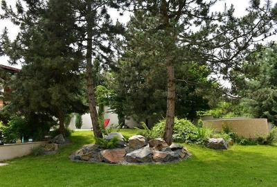 VILA SUPERBA SNAGOV  DESCHIDERE 40 ML LAC  TEREN 1750 MP - 17