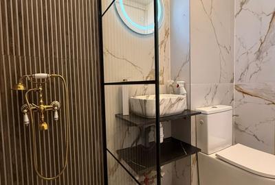 2 camere Drumul Taberei Raul Doamnei etaj 10 renovat bloc reabilitat 2 lifruri - 2