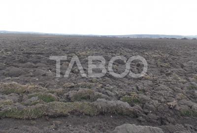 Teren intravilan de vanzare 10.000 mp in zona Industriala Vest Sibiu - 3