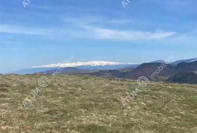 Teren intravilan de 3000 mp cu utiltati si PUZ in Paltinis Judet Sibiu - 2