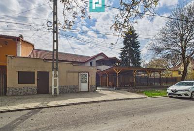 Casă + afacere activă | Venit 1100€/lună - 15