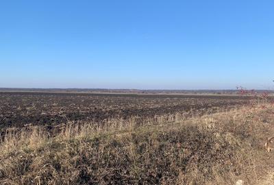 Stefanesti de Jos Vanzare  Teren  Intravilan  5,5 Hectare deschidere 121ml DJ200 - 4