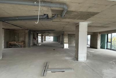 SPATIU BIROURI/ SHOWROOM/ CLINICA -Albert Ploiesti - 9