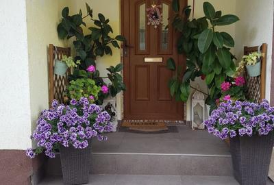 Duplex 4 camere, curte 300mp, Terra - 1