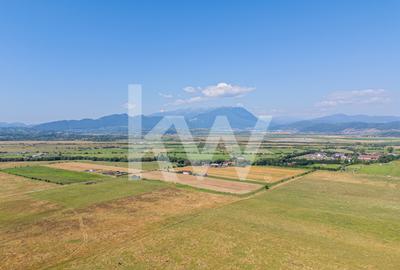 Teren de vânzare, 2.000 mp în Glăjerie, Râșnov, parcelat - COMISION 0% - 8