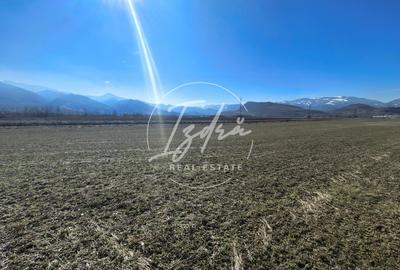 Teren de vanzare - 5