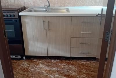 Apartament 2 Camere,la curte,Iancului,Matei Voievod,parter,DECOMANDAT,centrala - 22