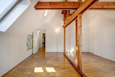 Vila eleganta, arhitectura deosebita, 7 camere, renovata, langa Parcul Kiseleff - 38