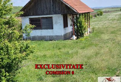 Depozit cu 2900 mp teren de vanzare in Unirea - 1
