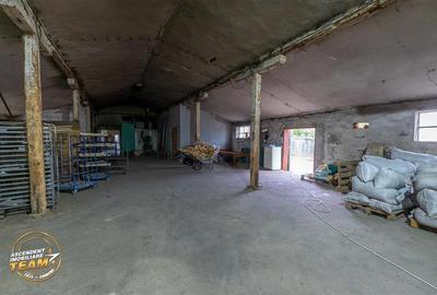 Spatiu comercial+afacere functionala: brutarie,rute de distributie,Ghelinta - 9