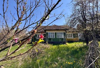 Casa traditionala,zona pitoreasca,domeniu de 3.400 mp,Suveica,Acatari,Mures - 14