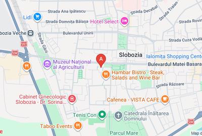 Inchiriere spatiu comercial - 1