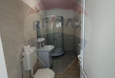 Casă + anexă cu terasă și grătar – 750 mp teren, Pricaz - 10