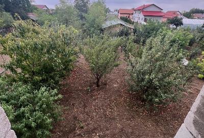 Casa+teren  Vadu Pașii Buzau - 13
