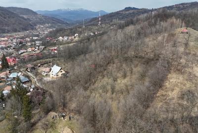 Oportunitate investitie teren  – Cerașu, Prahova | 3.485 mp | View spectaculos - 8
