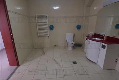 Tineretului-vila individuala aproape  de metrou si parc --pozitie excelenta - 22