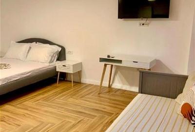 Calea 13 Septembrie-Parc Sebastian,garsoniera mobilata utilata,la cheie - 4