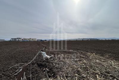 Teren intravilan de vânzare – 10.000 mp – Zona Industrială Vest | Comision 0% - 5