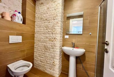 Apartament de inchiriat, 2 camere, semidecomandat, 40 mp, Lunca Cetatuii - 9