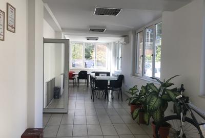 De inchiriat vila zona Take Ionescu,ISHO - 5