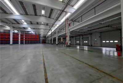 Spatii Industriale - 10000 mp - Logistica - Productie - Depozitare - Distributie - 14