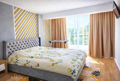 Apartament cu 2 camere mobilat și utilat în Bucium-Vișani - 4