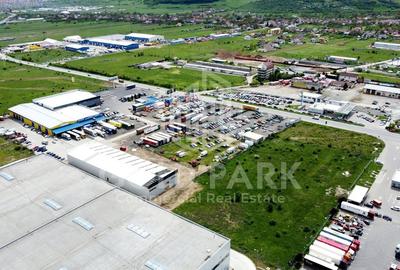 Hala/Depozit-Zona Autostrazii-Curte Betonata/Rampa-350-660-900 mp - 3