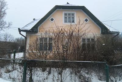 CASA DE VANZARE + ANEXE 2500 MP / PUTNA - 13
