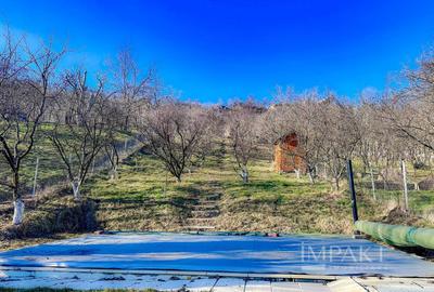 Duplex 4 camere, piscina si curte 2500 mp | de inchiriat Grigorescu - 17