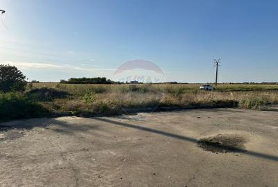 Teren extravilan de vânzare – 19.963 mp, E68 Mândruloc–Vladimirescu - 10
