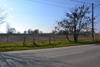 Vanzare Teren intravilan, 5600 mp in Mircea Voda - Dambovita. - 2