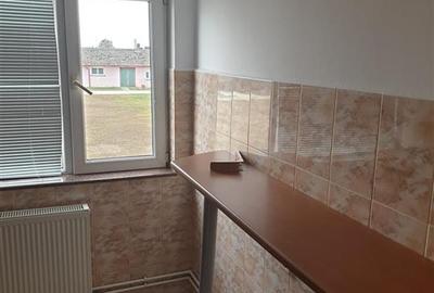 Inchiriez Spatiu industrial Hala  langa A1 spre Timisoara - 11