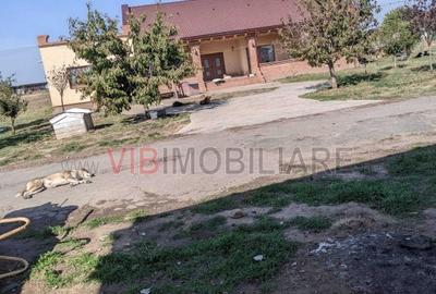 Ferma Zootehnică Mixtă – Cernateaz, Timiș | 9,5 ha | Hale Moderne, Casă 2019, va - 11