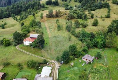 Teren 6,865mp Voroneț / Gura Humorului / Bucovina - 10