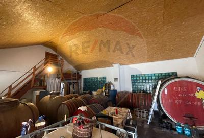 Casă in Odobesti - 10