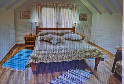 De vanzare Pensiunea Casa Delta,8 camere, situata pe Dunarea Veche, langa Lebada - 6