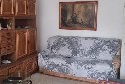 Inchiriere apartament 2 camere, etaj 1 - zona Kaufland - 2