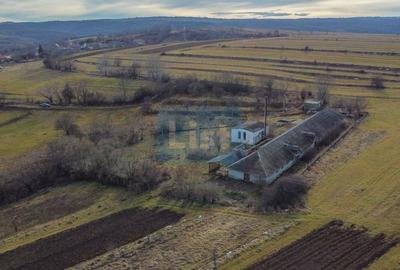 Comision 0%! Teren, 7400 mp constructie 826 mp, Paniceni Cluj - 5