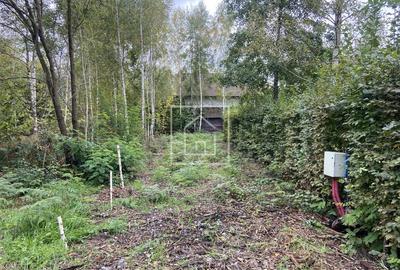 Teren intravilan 520 mp Valea Avrigului ideal cabana A-frame - 1