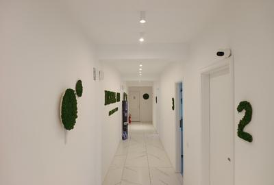 Proprietar vand doua vile in zona Calea Plevnei - 2