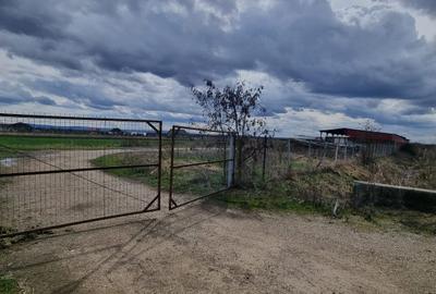 Teren in Amati ideal pentru investitie - 1