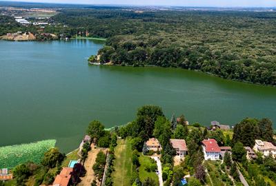 Snagov / Teren 5000 mp+Cladire 4200 Mp/ Investitie Comerciala sau Rezidentiala - 5