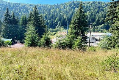 Teren Intravilan Predeal - Acces direct DN - Priveliste deosebita - 25