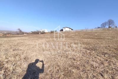 Teren de vanare | 800 mp | Colonia Sopor - 4