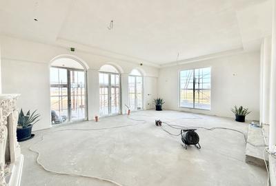 Proiect unicat - Casa individuala de lux - 300 mp utili - Mosnita - 11