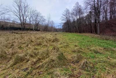 Resita, Teren Drept Intravilan, Langa Prau si Drum, Parcelabil, 4500 Mp., 15 Eur - 7