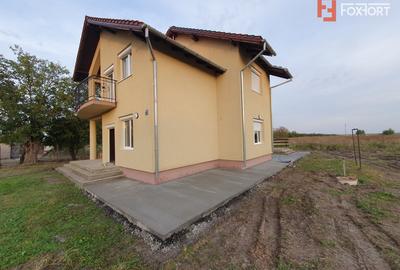 Vila cu 5 camere, 236 mp, teren 5805 mp, gaz, Brestea - Denta - 12