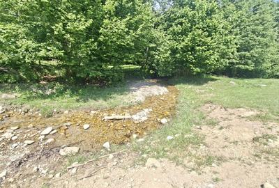 Teren intravilan superb Râșnov Glăjerie - 6